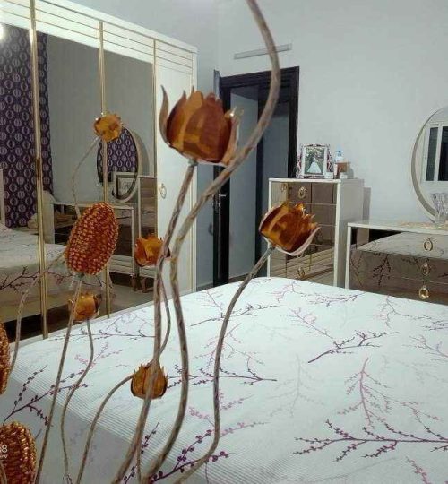 Luxury Apartment with High-Quality Specifications